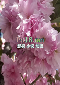 调教黄蓉